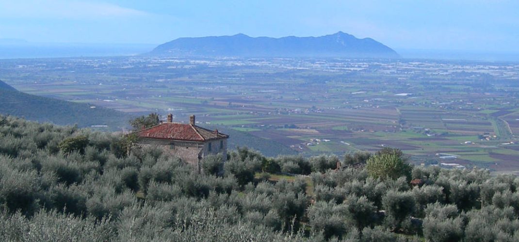 Storia Azienda Agricola Alfredo Cetrone